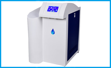 91视频最新网站