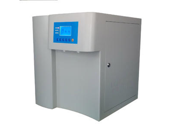 91视频最新网站