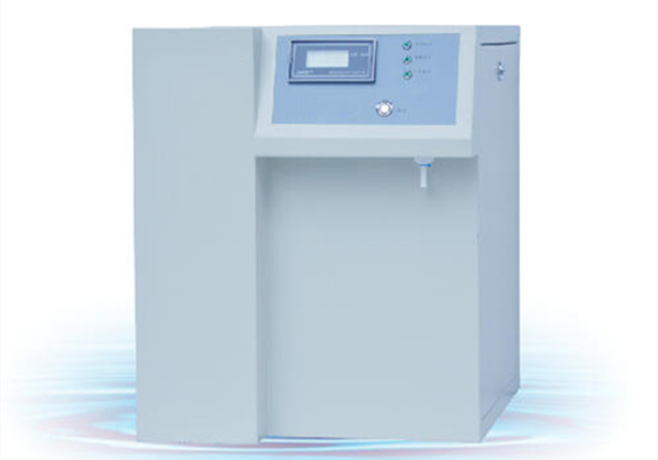 91视频最新网站