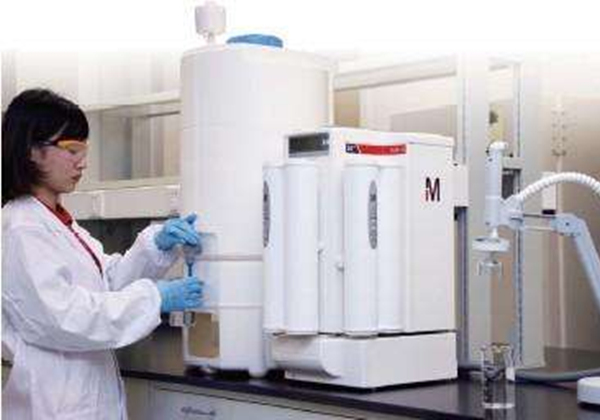 91视频最新网站