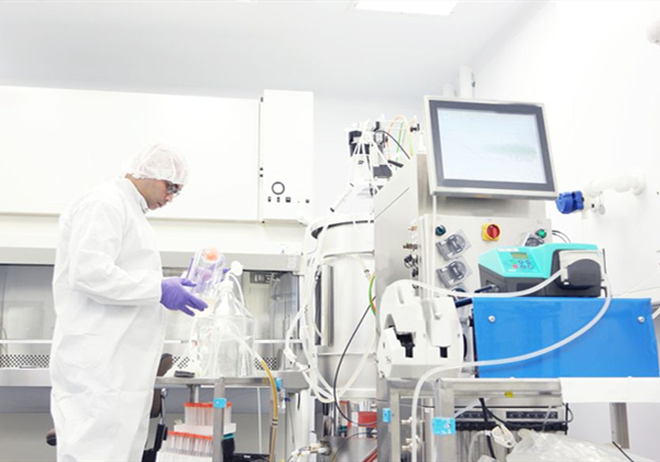 91视频最新网站