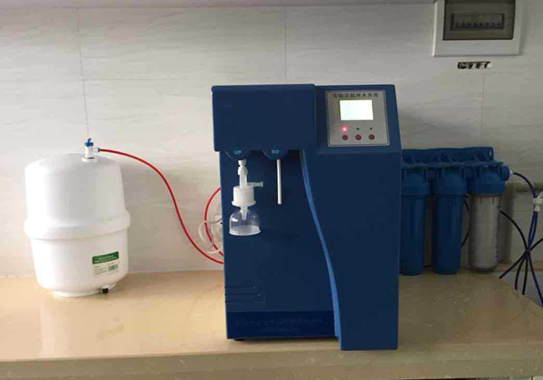 91视频最新网站